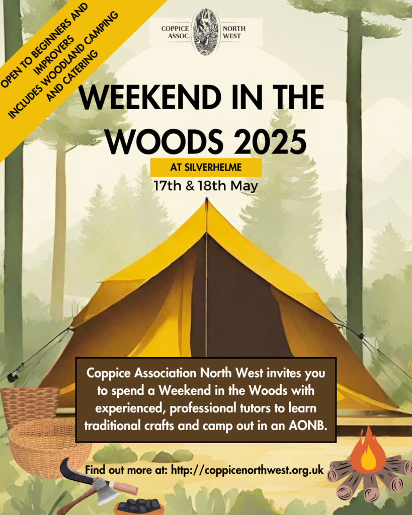 weekend in the woods 2025 poster