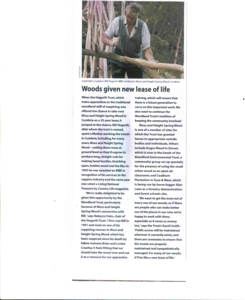 Article from Moss & Spring Heights